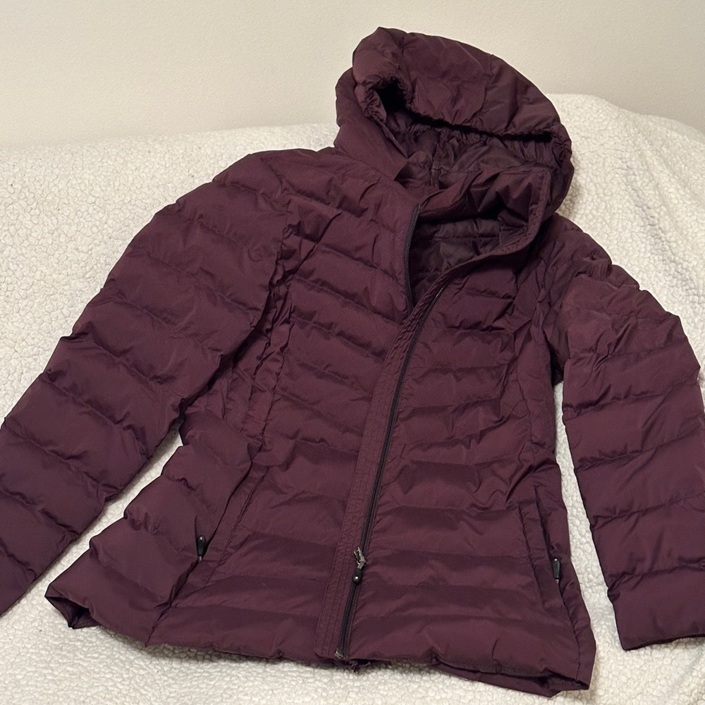 Women's Plum Puffer Jacket